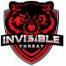 Invisible Threat Gaming