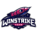 Winstrike Team