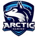 Arctic Gaming 