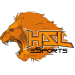 HSL Esports