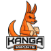 Kanga Esports