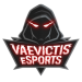 Vaevictis eSports