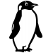 Pingüinos