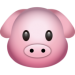 oink oink HERE COMES BOIN