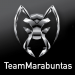 Team Marabuntas