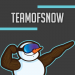 TeamOfSnow